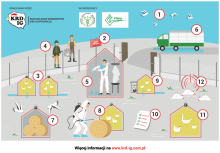 rzekomy pomór drobiu - kampania informacyjna