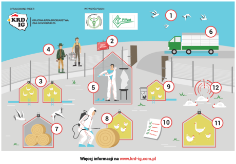 rzekomy pomór drobiu - kampania informacyjna