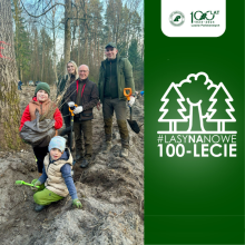 Lasy na nowe 100-lecie