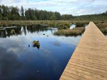 Zakończenie Remontu Kładki na Rozlewisku Sianożątka