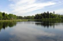 Zapraszamy na Wyżary